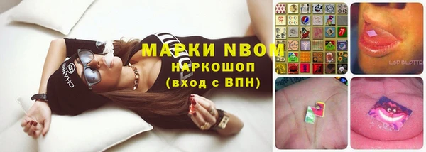 стафф Алзамай
