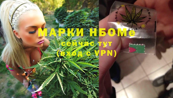стафф Алзамай