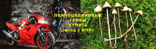 шишки Алексеевка