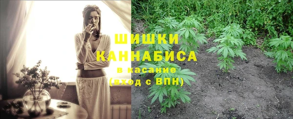 гидра Протвино