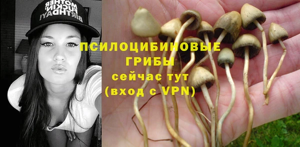 гидра Протвино