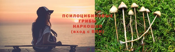 стафф Алзамай